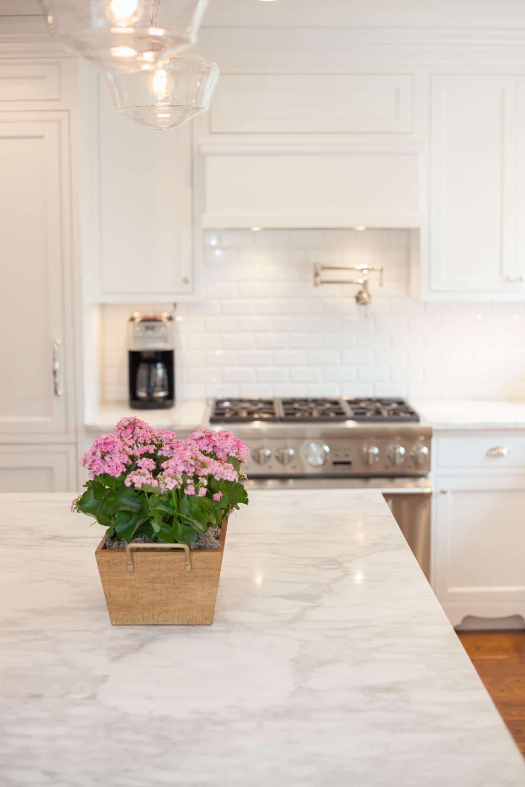 Sleek Hyde Park Kitchen