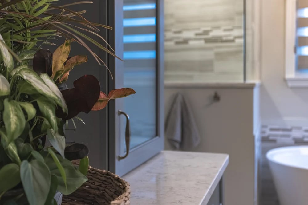 View over the counter of bathroom remodel in Cincinnati by legacy builders featuring cabinet, plant, and corner of tub and walk-in shower