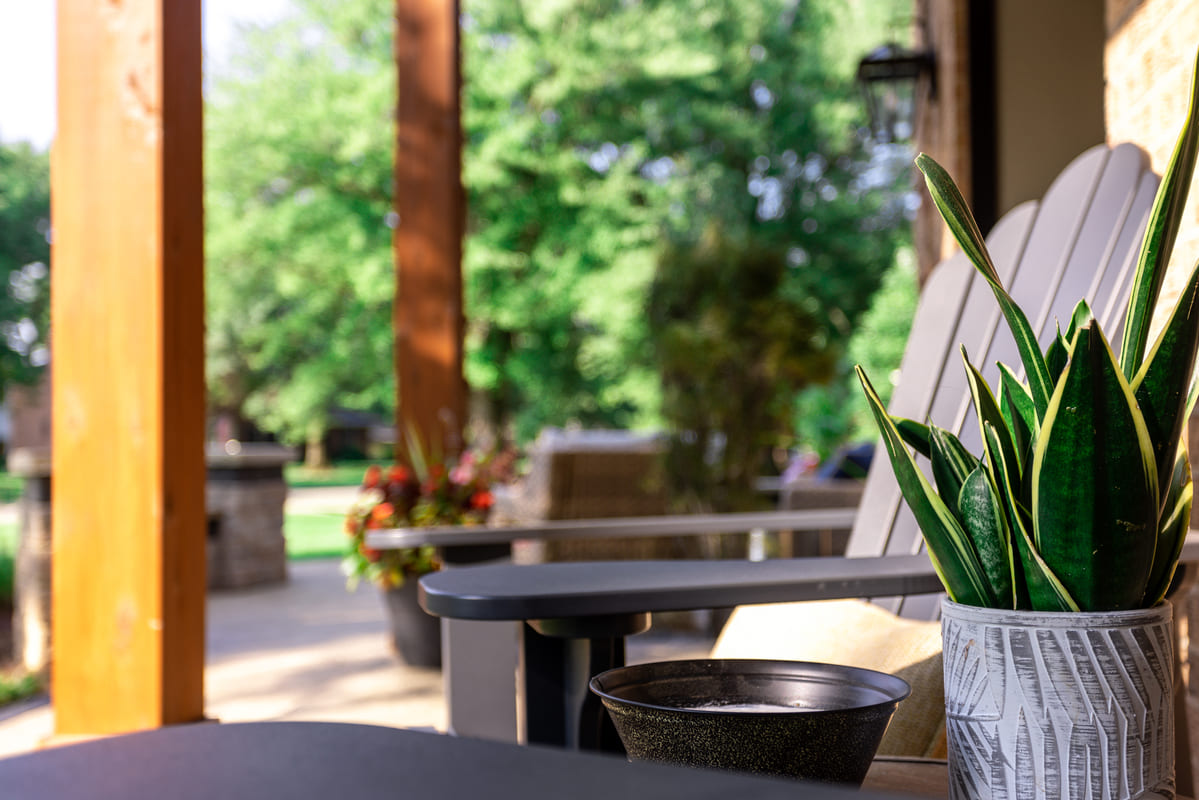 Snake plant and chair on front porch with cedar posts